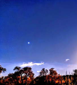 Moon Falls