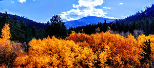Orange October