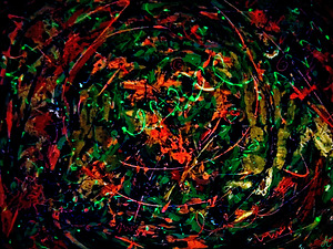 Pop Spring By Night