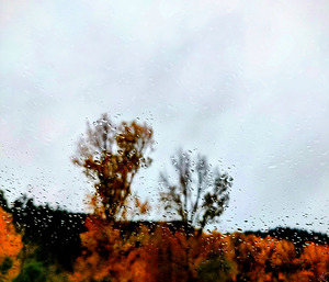 Roadside Fall