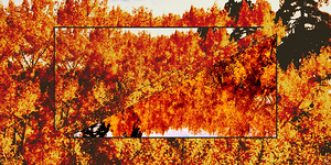 Scorched Halloween