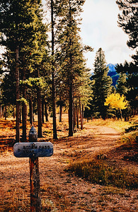 Storm Mountain Trail