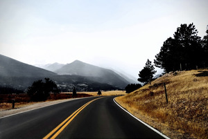 The Curve of the Road