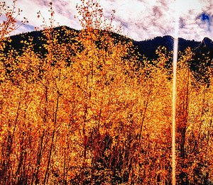 The Flames of Fall