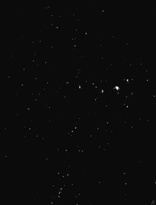 The Stars of Another Sky