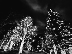 There Is Something Deeply Disturbing About Knowin