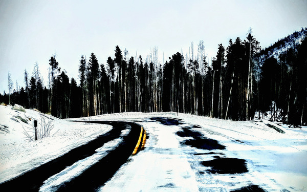 Fairytale Forest Print