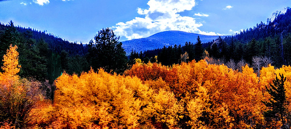 Orange October Print