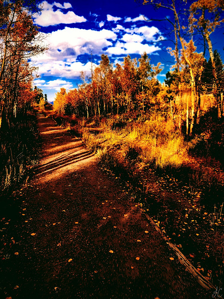 Pumpkin Path  Print