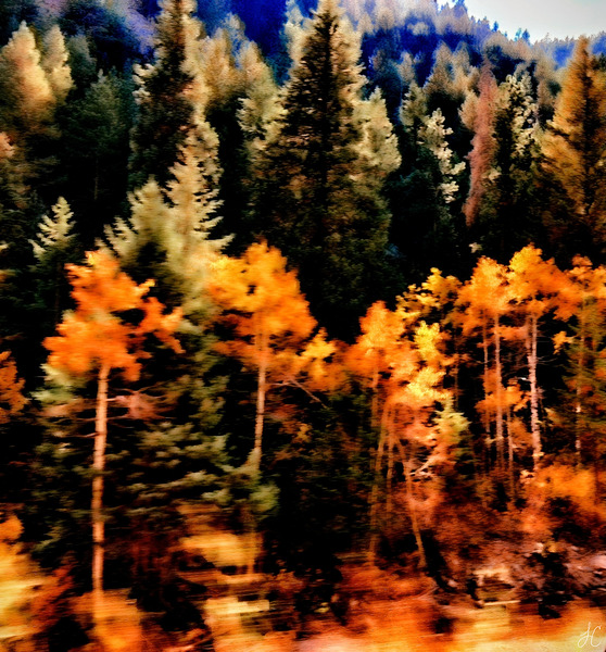 The Forest Flees  Print