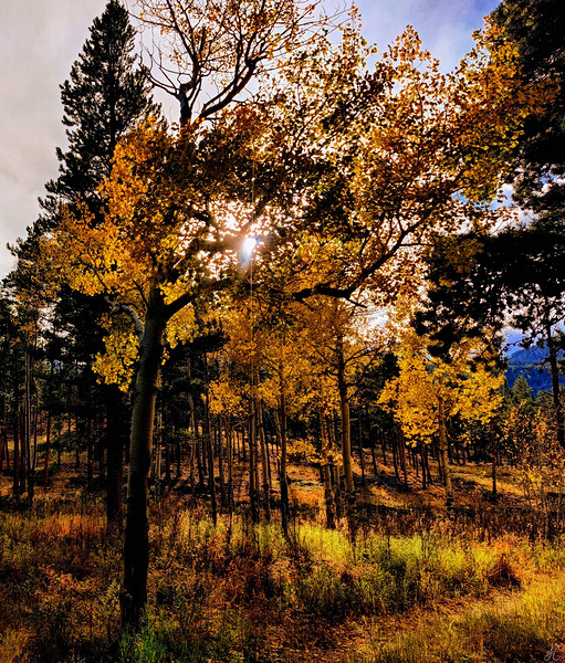 The Last Moment Print