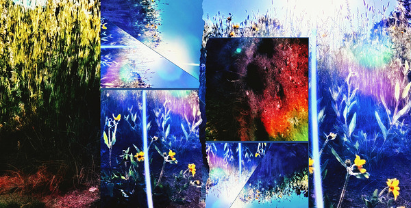 The Stars and the Dirt Print