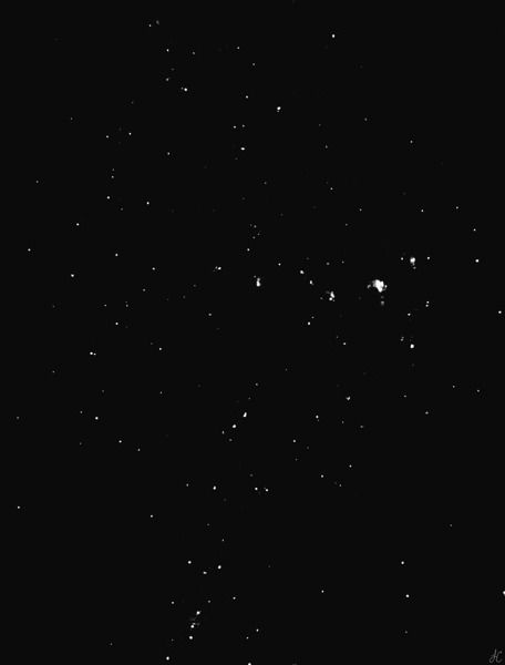 The Stars of Another Sky Print