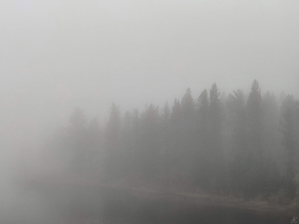 The Whispering Wood Print