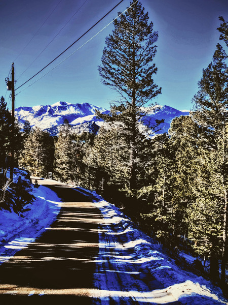 Western Winter Print