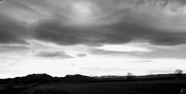 Windswept Time Print