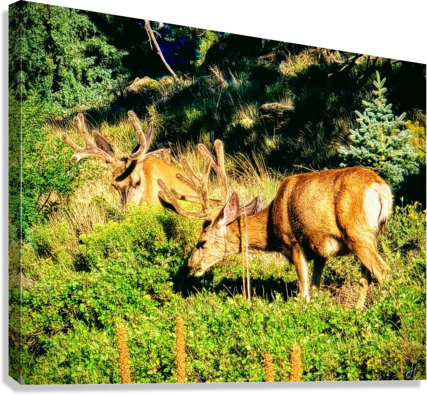 It s A Date Canvas Print