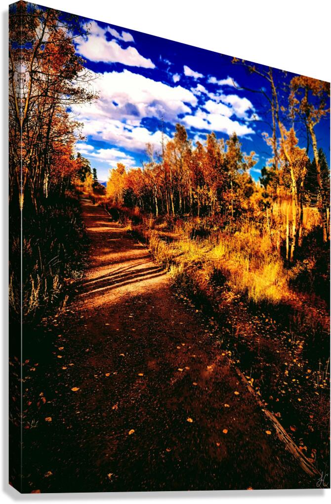 Pumpkin Path  Canvas Print