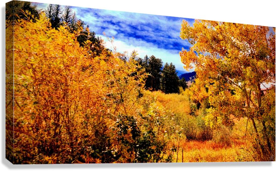 Pumpkin Glen Canvas Print