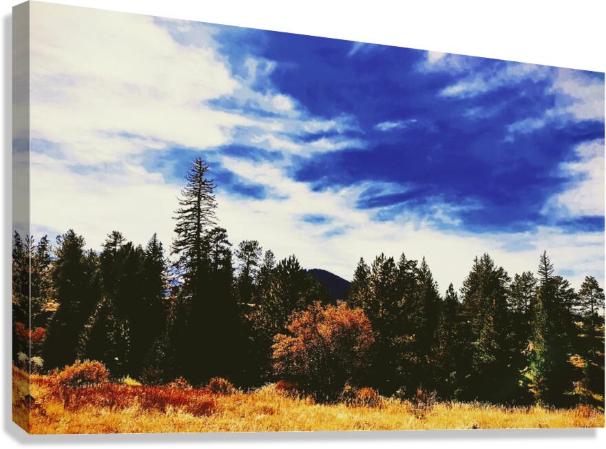 Pumpkin Vibes Canvas Print