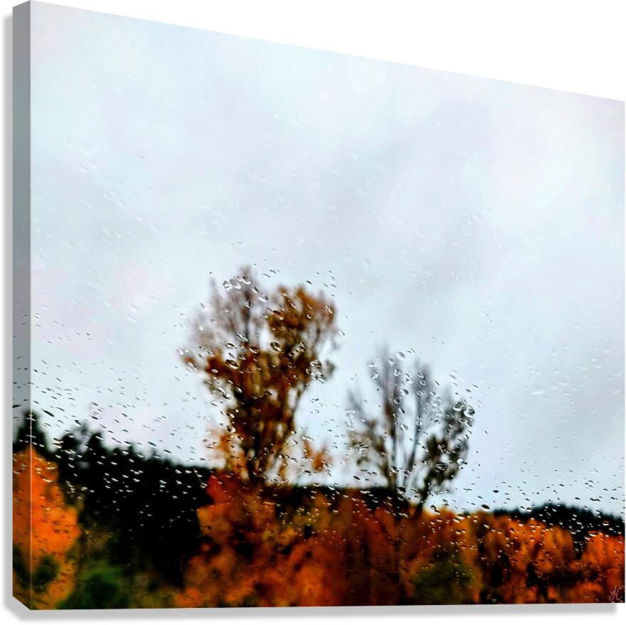 Roadside Fall Canvas Print