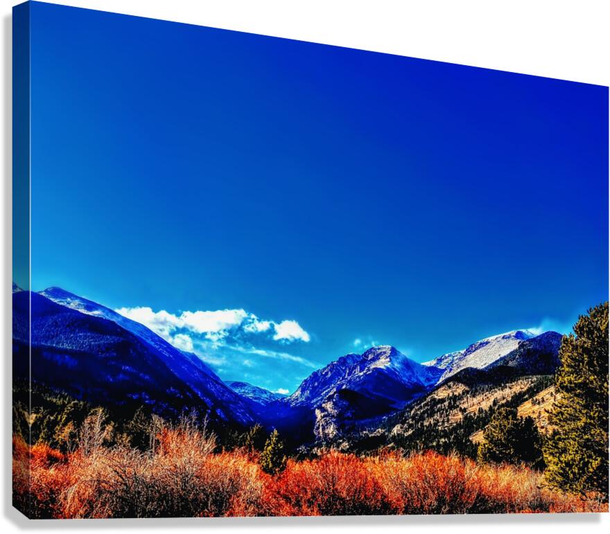 The Fall Canvas Print