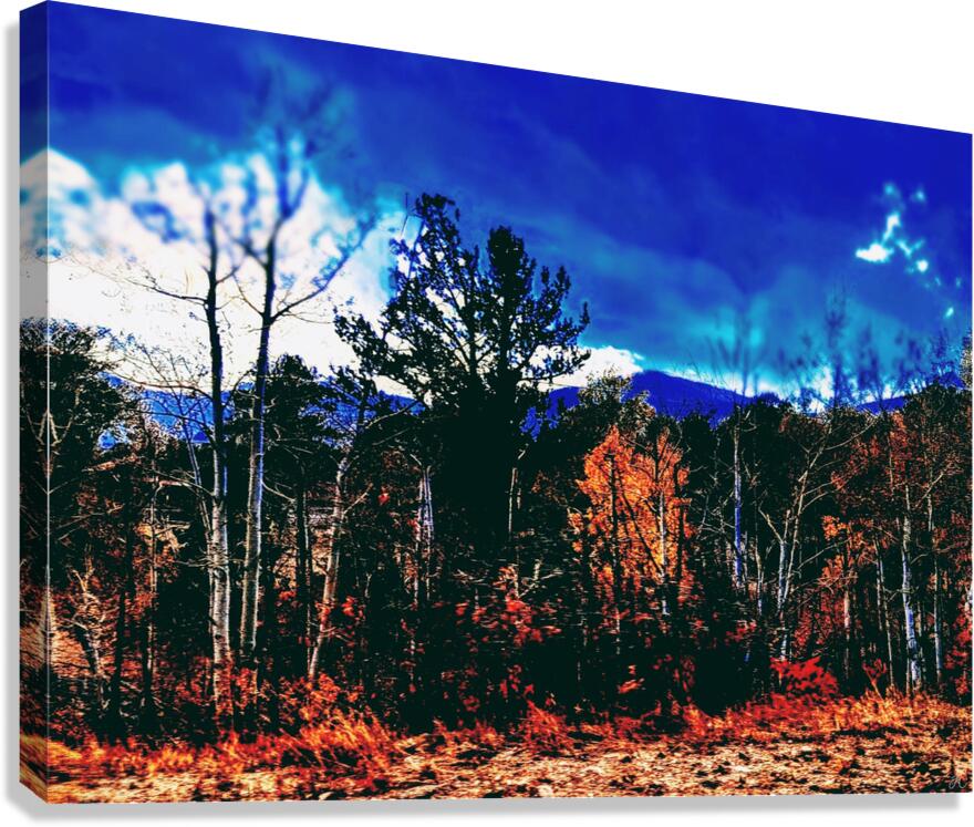 The Secret Forest Canvas Print