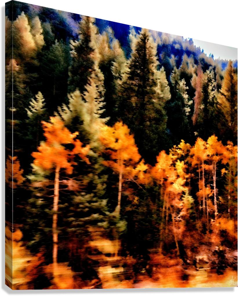 The Forest Flees  Canvas Print