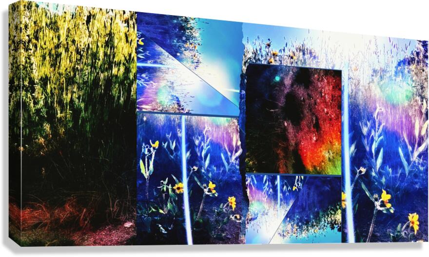 The Stars and the Dirt Canvas Print