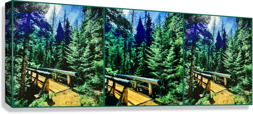 Through the Forest Canvas Print