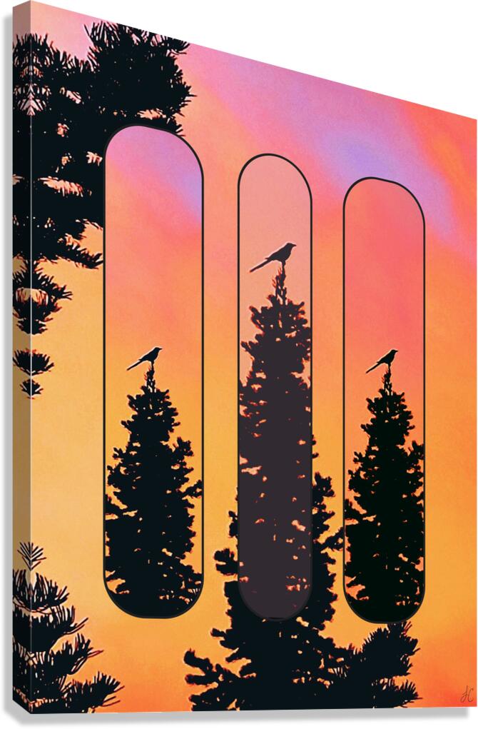 Retro Birds Canvas Print