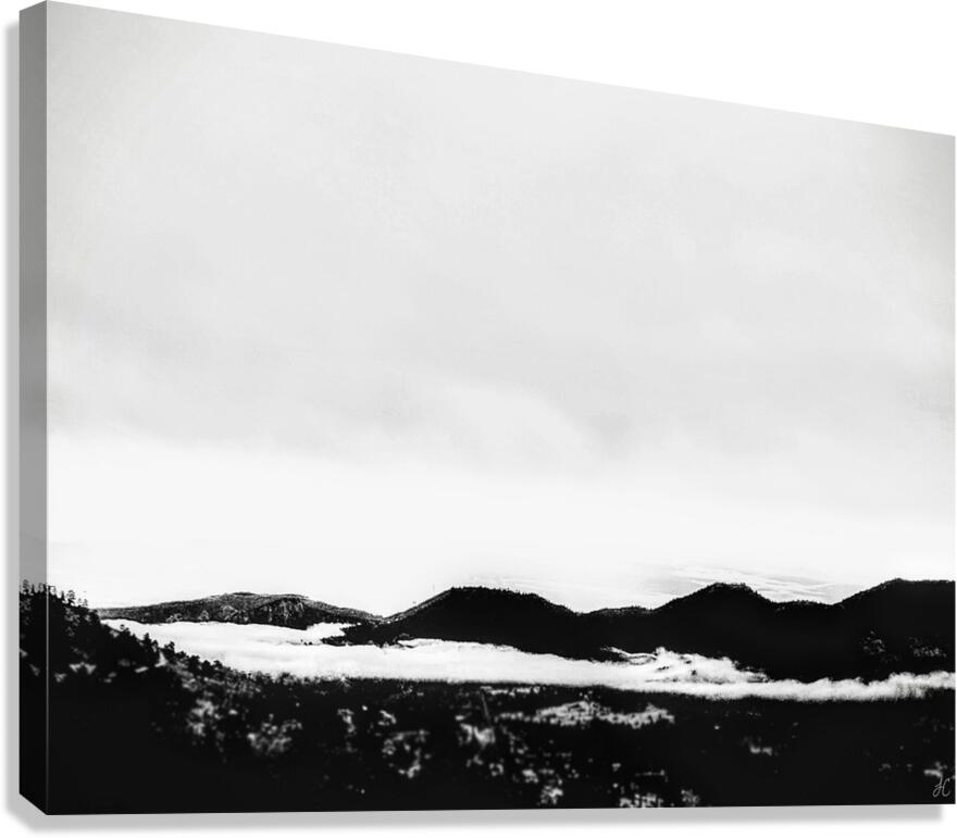Hush  Canvas Print