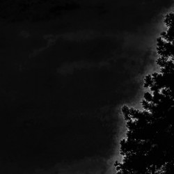 Haunted Moon