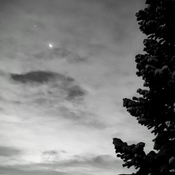 A Sliver of Silver in the Gray