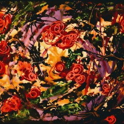 Fireflies  Thorns
