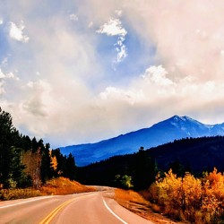 The Road Away