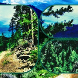 View Finder