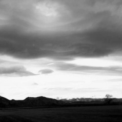 Windswept Time