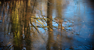 Reflection in thawed patch