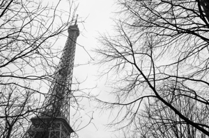 Eiffel Tower Through Winter Branches