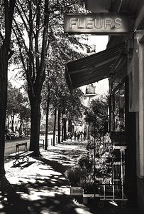 Fleurs. Paris