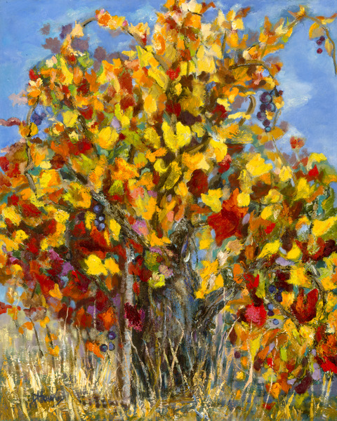 Dana Hawley Signature Series - Old Vine Zinfandel Print