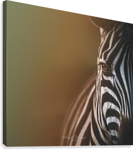  I5A7812 Edit Canvas Print