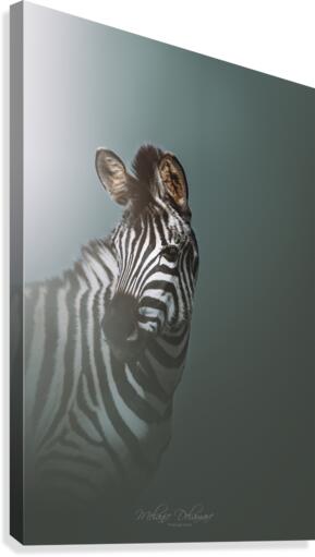  I5A1349 Edit Edit Canvas Print