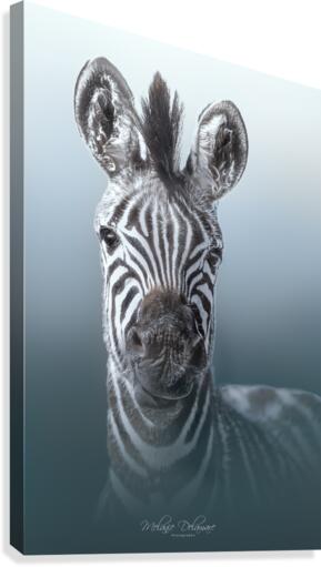 The Blues Canvas Print