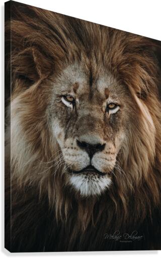 Madoda Canvas Print