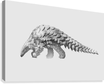 Shy Pangolin Canvas Print