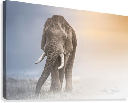 In Between Lights Canvas Print