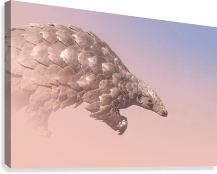Pangolin Illusion Canvas Print