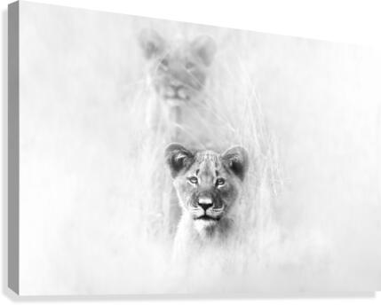 Heads Up  Canvas Print